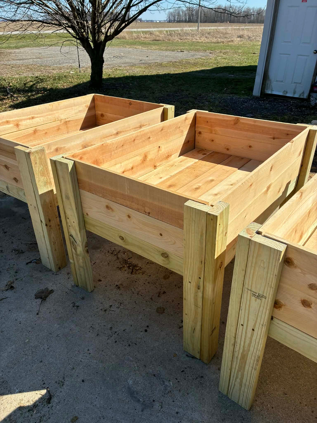 Raised Garden