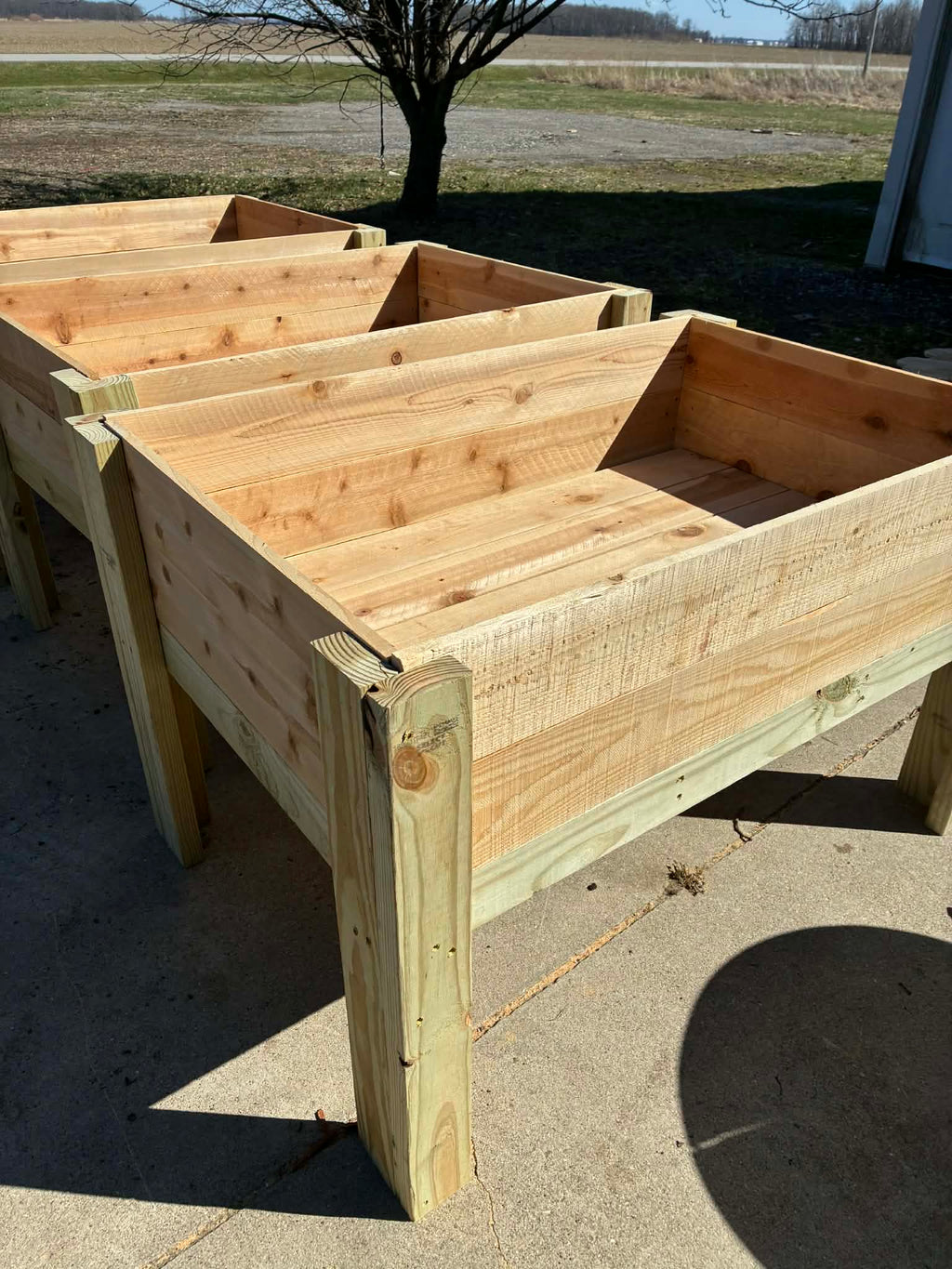 Raised Garden