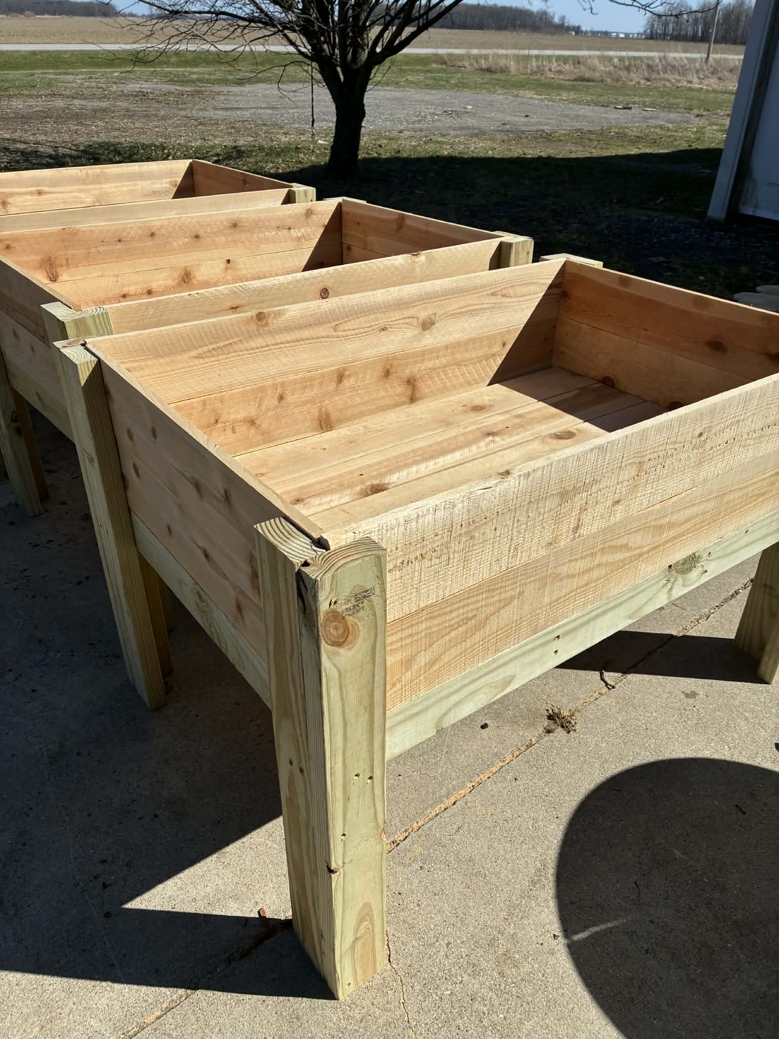 Raised Garden